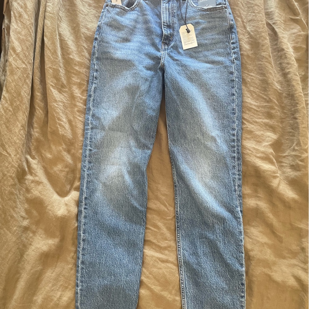 Levi’s Aritzia 70’s high slim straight jean